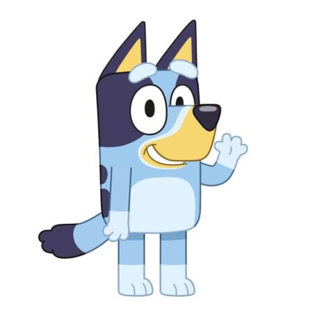 Bluey-sierkussen-Bluey-450x450